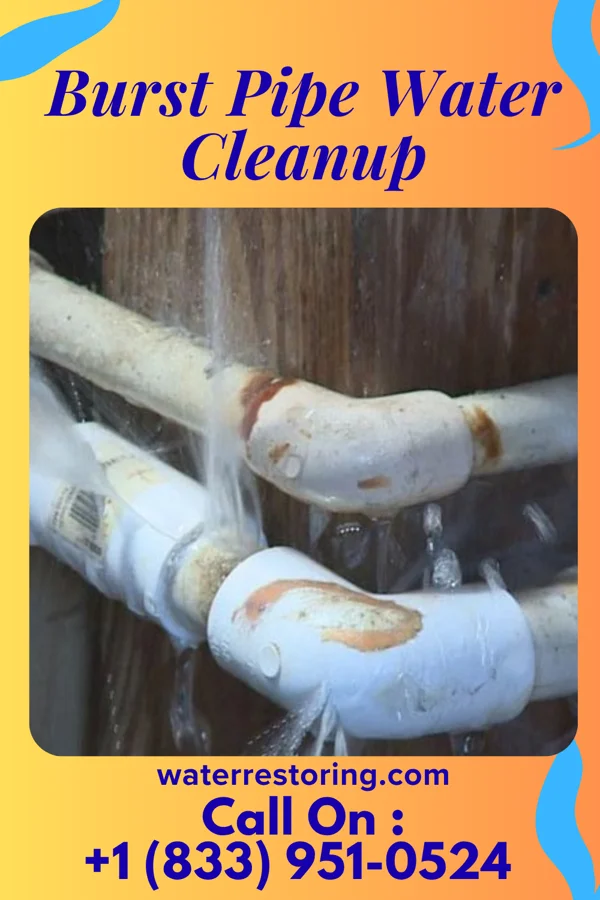 Burst Pipe Water Cleanup in Malin, OR
