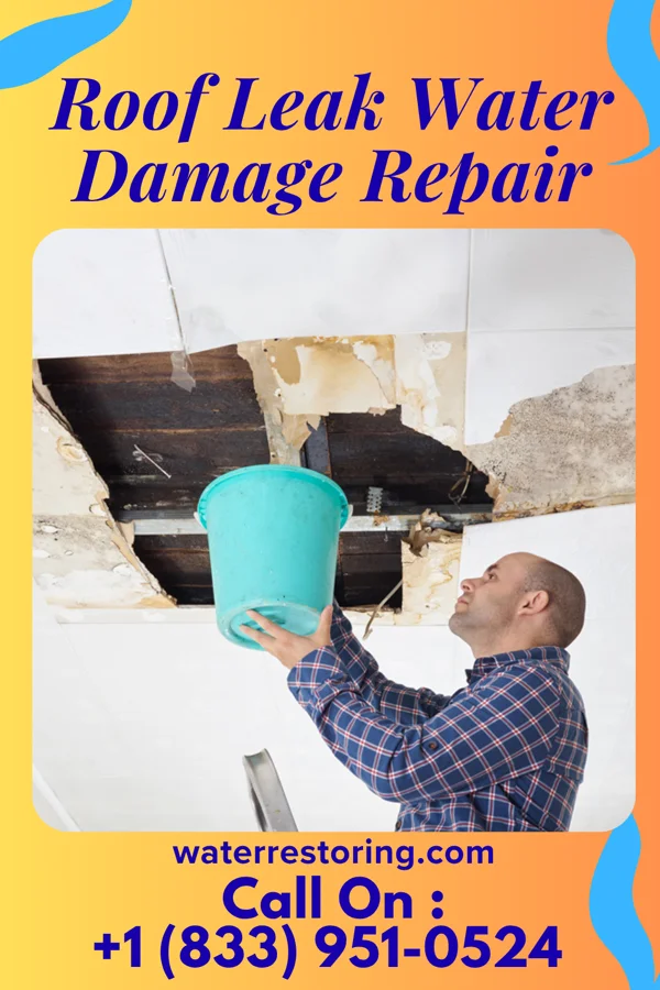 Roof Leak Water Damage Repair in Malin, OR